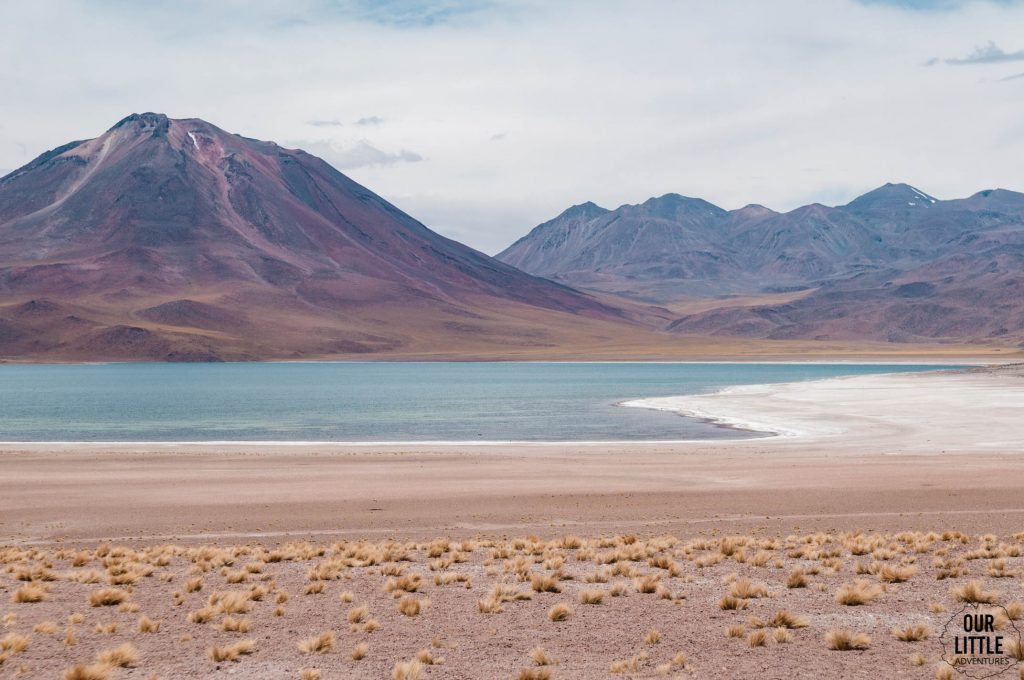 Laguna Miniques - Pustynia Atacama