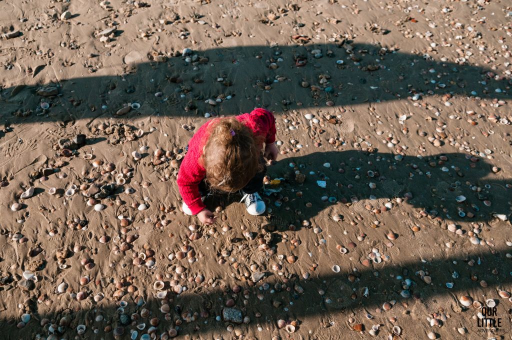 Marianka kuca na plaży w Tel-Awiwie i zbiera muszelki