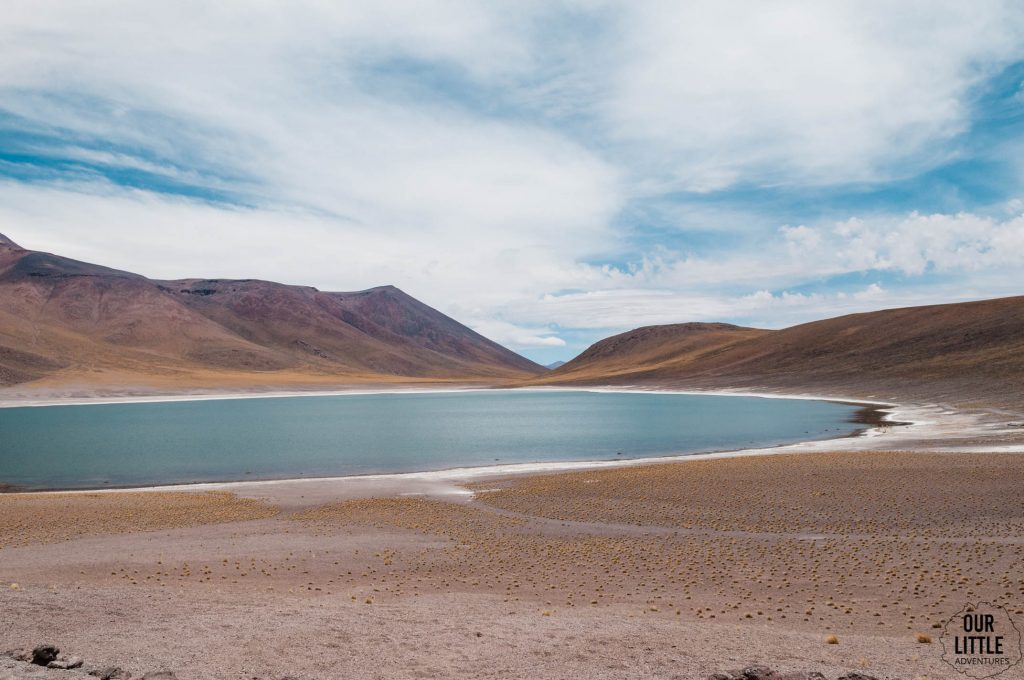 Laguna Miscanti - Pustynia Atacama