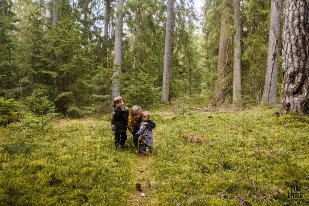 Marianka, Basia i Jasio idą szlakiem zielonym w Puszczy Zielonkej