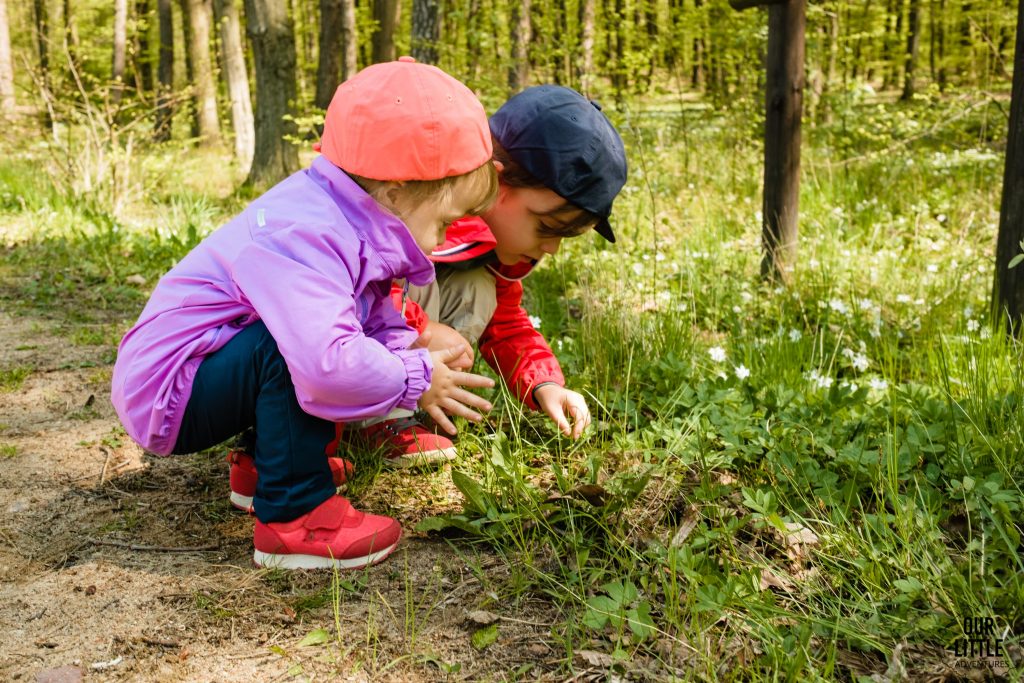 Dzieci bawią się w lesie, Bezpieczne wakacje z dziećmi, zdjęcie autorstwa OurLittleAdventures.pl