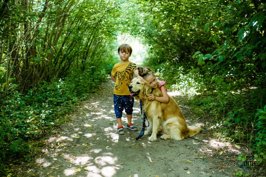 Książka SOS Pies Wydawnictwo Kropka - Jak zaopiekować się psem - Our Little Adventures