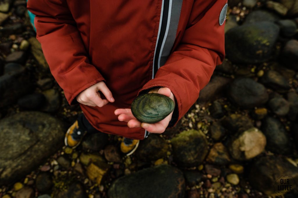 Dziewczynka trzyma kamień z kamienistej plaży na północnej Olandii