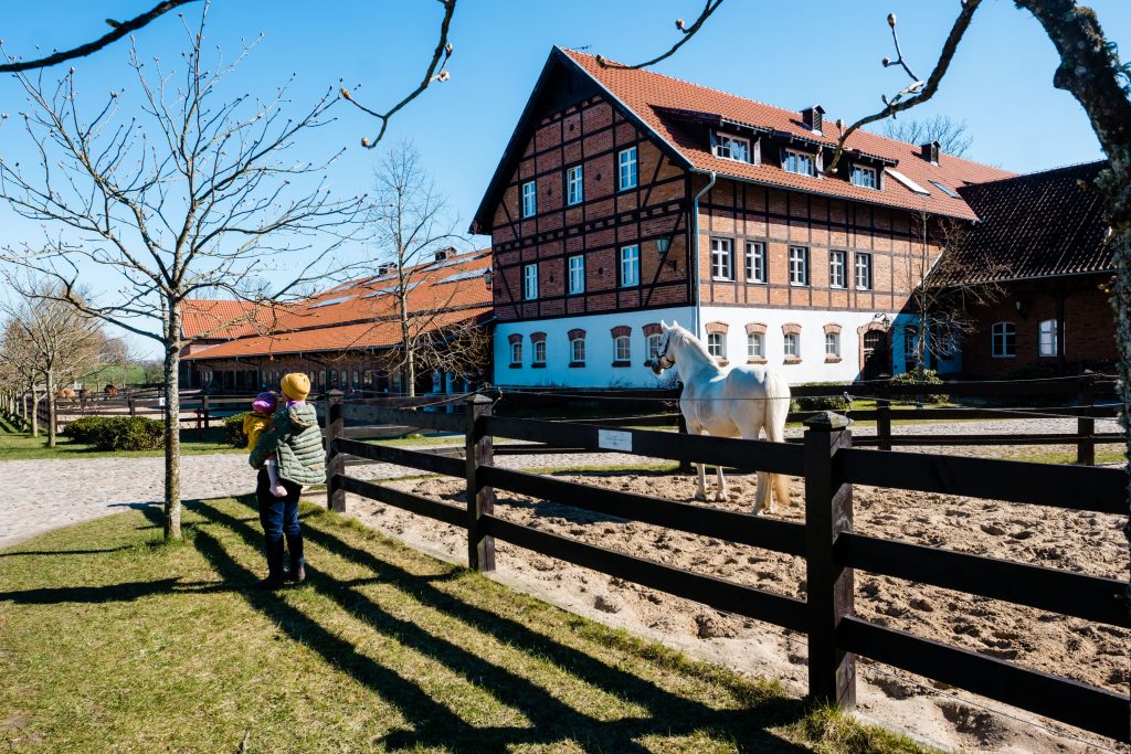 Pałac Ciekocinko, kobieta stoi z dzieckiem na rękach obok konia, zdjęcie autorstwa OurLittleAdventures.pl