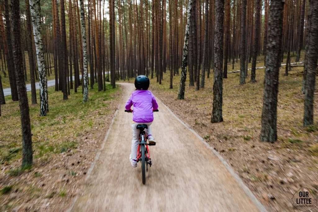 Dziecko zjeżdża na rowerze z góry po ścieżce rowerowej w lesie, Bory Tucholskie - Kaszubska Marszruta z dziećmi, zdjęcie autorstwa OurLittleAdventures.pl