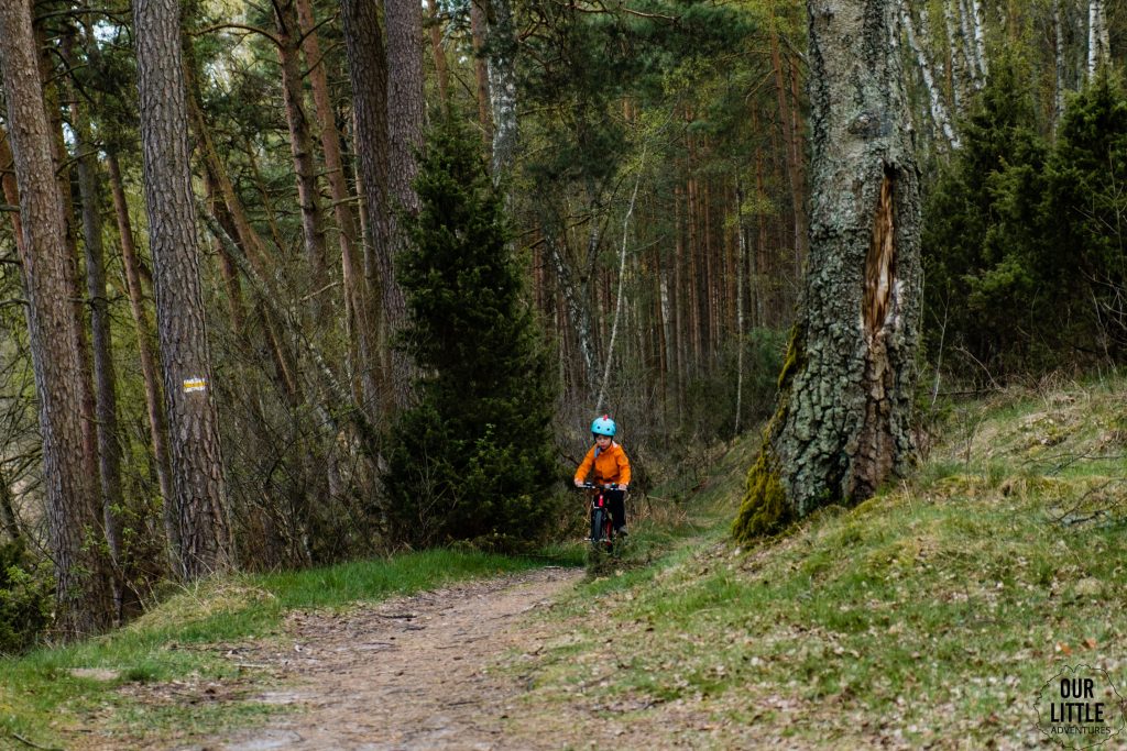 Dziecko jedzie rowerem przez las, Bory Tucholskie - Kaszubska Marszruta z dziećmi, zdjęcie autorstwa OurLittleAdventures.pl