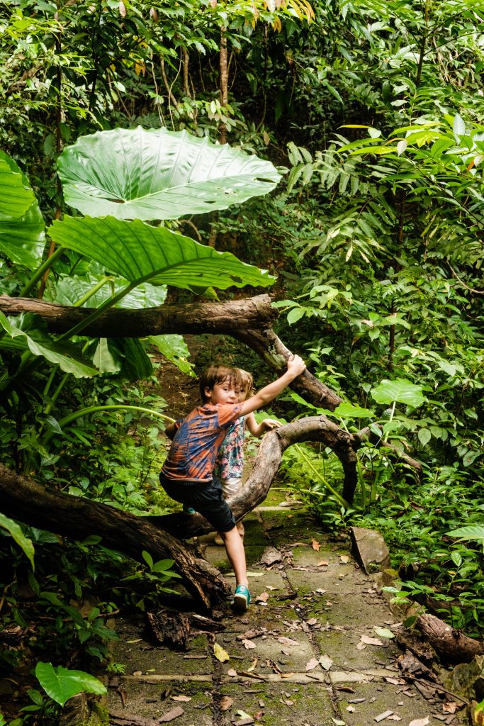 Koh Lanta - 5 powodów, aby spędzić wakacje na Koh Lancie - subiektywny przewodnik po wyspie, zdjęcie OurLittleAdventures.pl, dzieci idące przez dżunglę