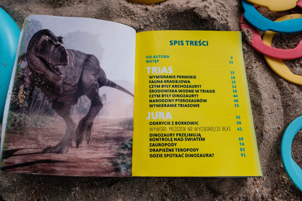 Książka o dinozaurach leży na piasku, zdjęcie pochodzi z tekstu Dinozaury i wielkie ssaki - prawdopodobnie najlepsza książka o dinozaurach dla dzieci ever! na stronie OurLittleAdventures.pl