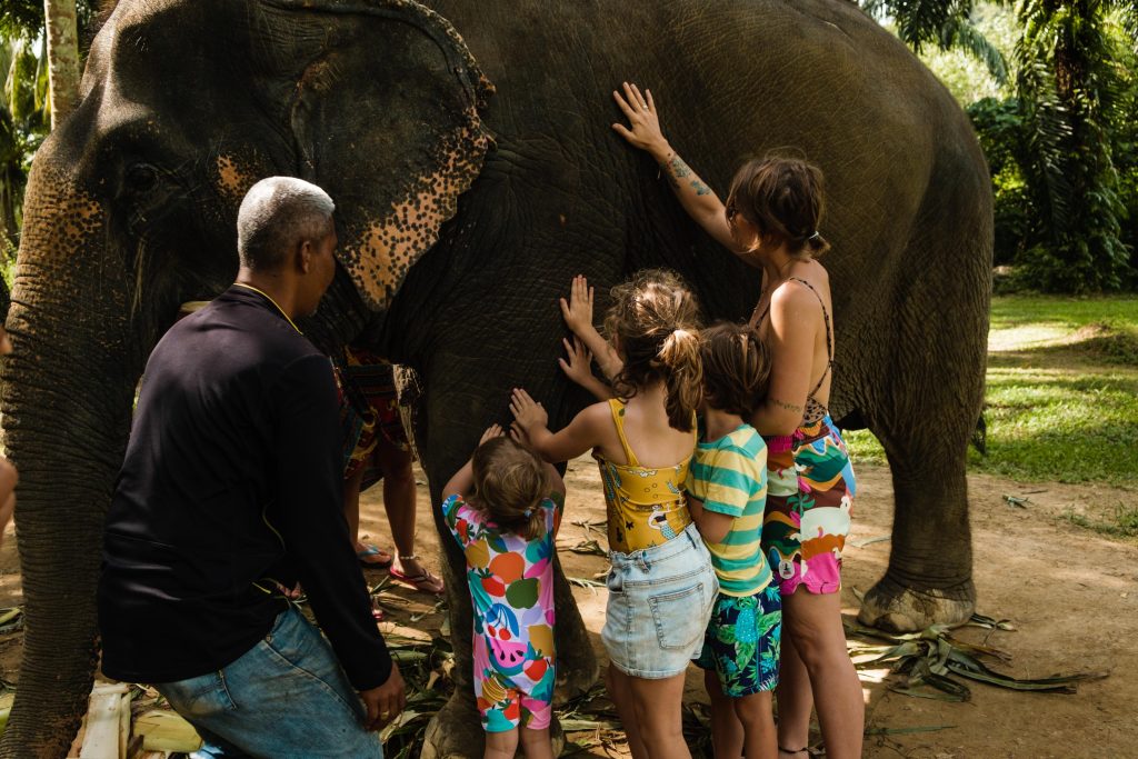 Rodzina głaszcząca słonia, zdjęcie pochodzi z tekstu: Słonie w Tajlandii - dlaczego warto trochę o nich poczytać, zanim się je odwiedzi?, OurLittleAdventures.pl