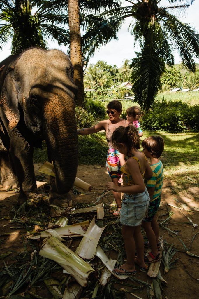 Koh Lanta - 5 powodów, aby spędzić wakacje na Koh Lancie - subiektywny przewodnik po wyspie, zdjęcie OurLittleAdventures.pl, na którym kobieta z dziećmi karmią słonia