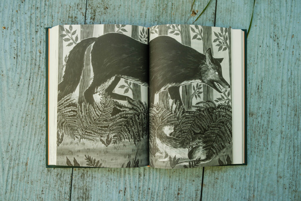 Książka Opowieść z Zielonej Rzeki, Holly Webb, wydawnictwo Świetlik, leży na stole, widać ilustrację z wilczycą, fot. OurLittleAdventures.pl