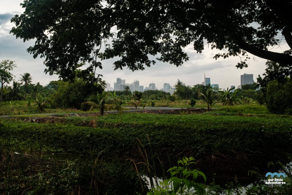 Widok na Bangkok z wyspy Bang Krachao - zdjęcie pochodzi z tekstu na blogu OurLittleAdventures.pl pt. Wyspa Bang Krachao - wycieczka rowerowa z dziećmi do zielonej oazy Bangkoku