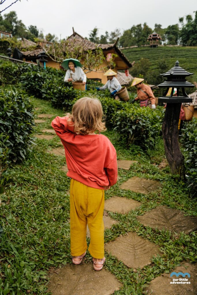 dziewczynka patrzy jak kobiety zbierają liście herbaty w ban rak thai