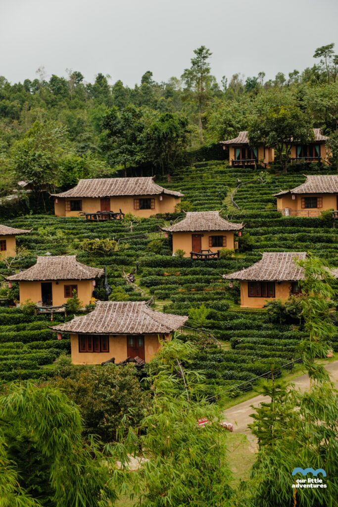 domki na planctacji herbaty w ban rak thai